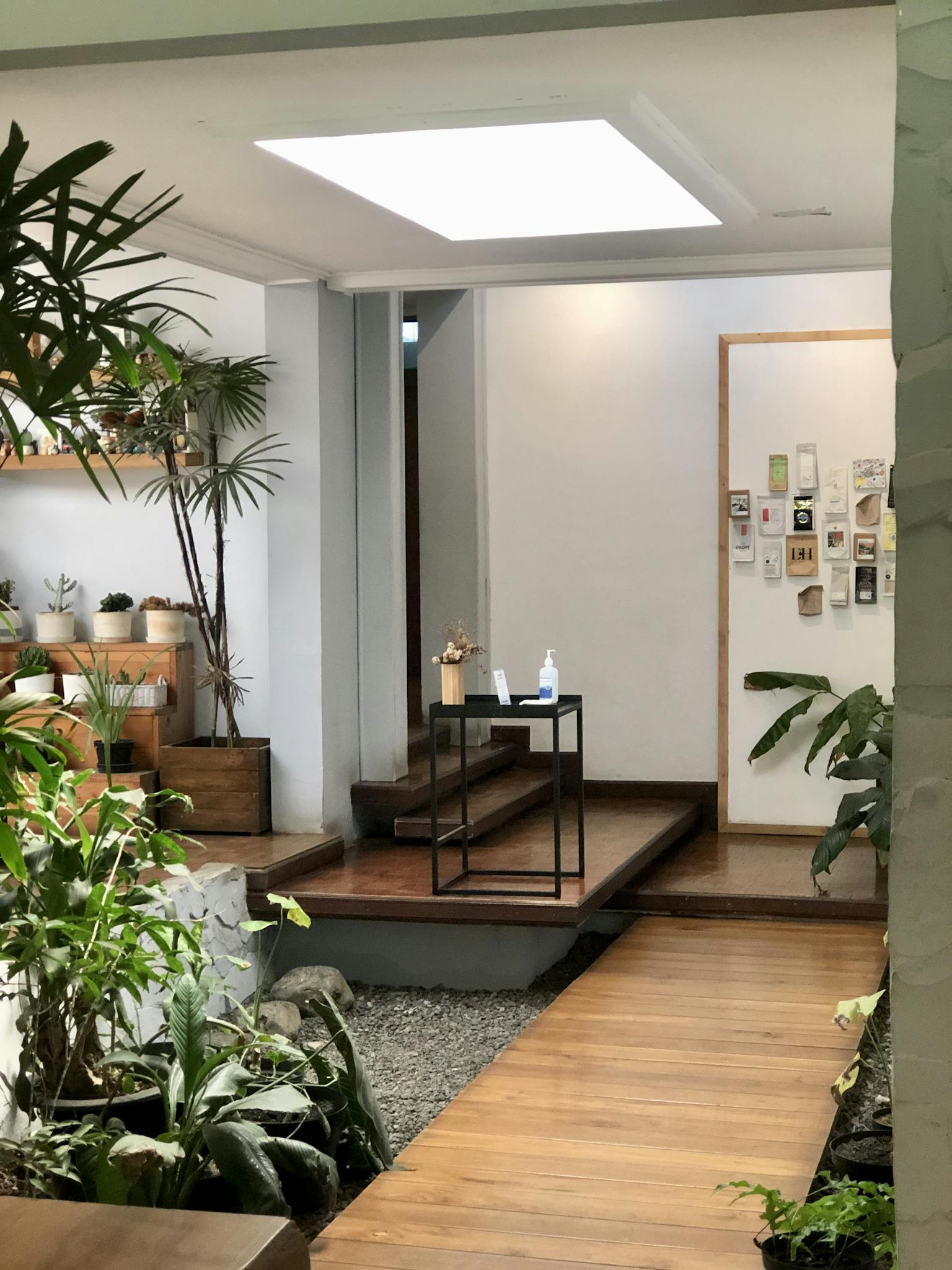 Stylish entryway with natural light and green decor, perfect for modern interior design inspiration.